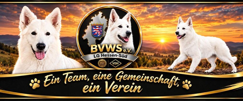 BVWS e.V. Landesgruppe Hessen-Süd